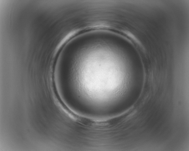 X0000082721325200701261209