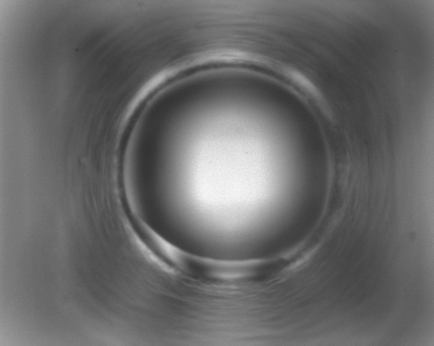 X0000082721326200701261209