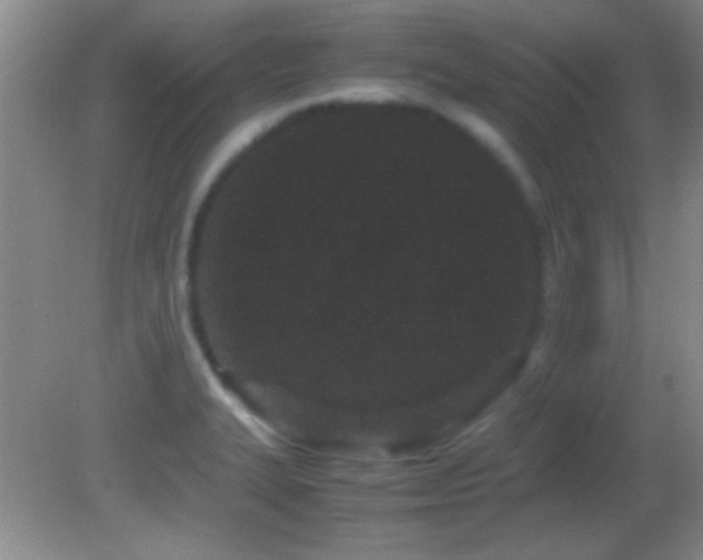 X0000082721327200701261209
