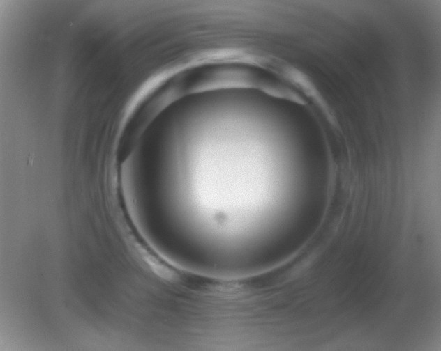 X0000082721328200701261209