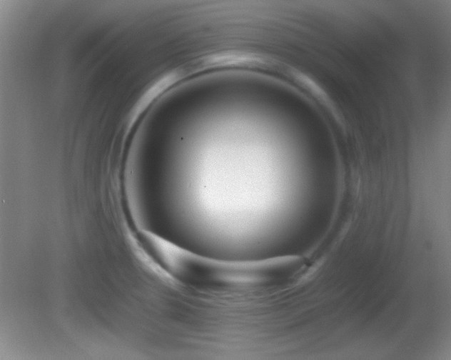 X0000082721330200701261209