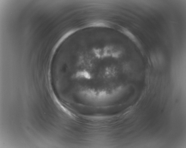 X0000082721331200701261209