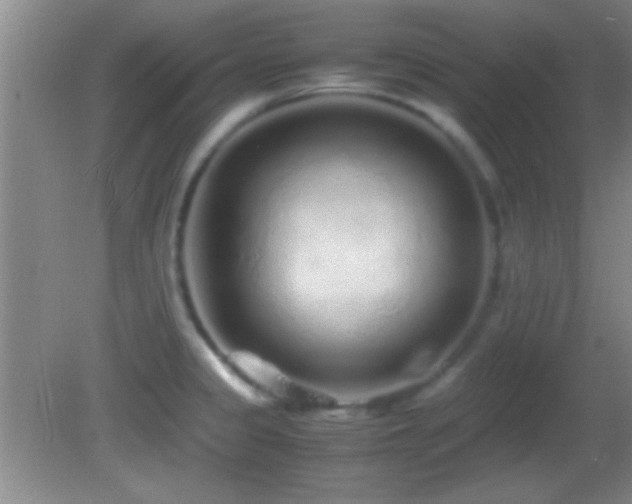X0000082721333200701261209
