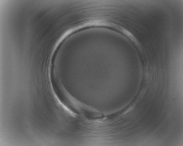 X0000082721334200701261209