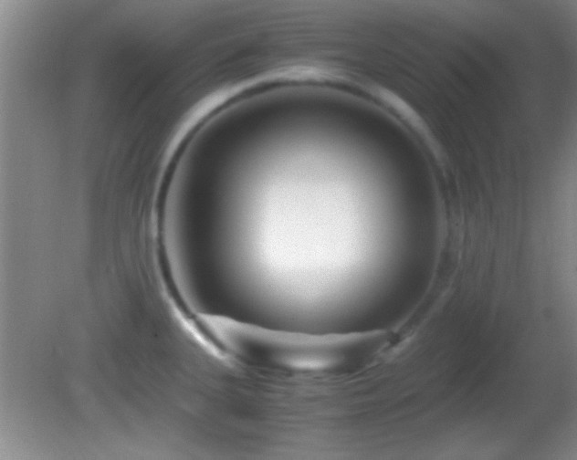 X0000082721335200701261209