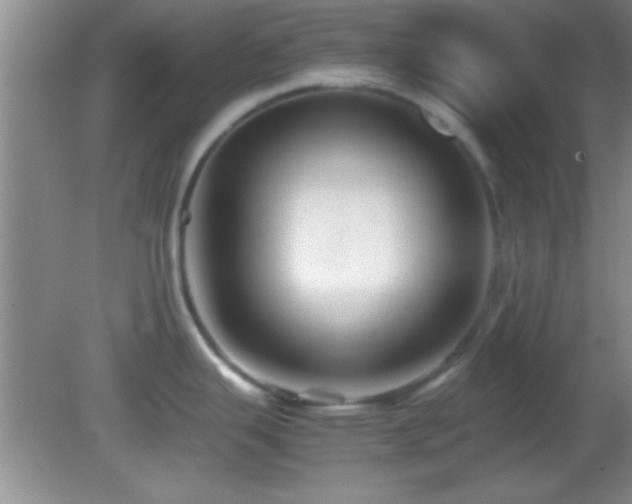 X0000082721343200701261209