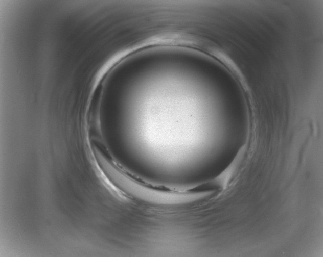 X0000082721344200701261209