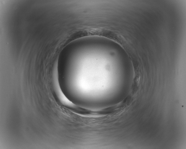 X0000082721345200701261208