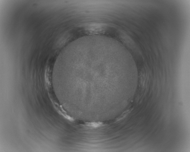 X0000082721346200701261208