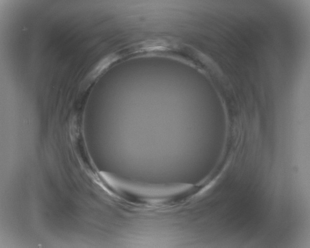 X0000082721353200701261208