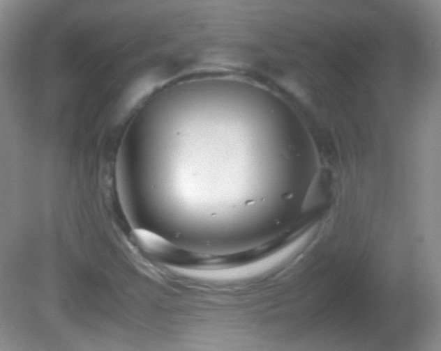 X0000082721355200701261208