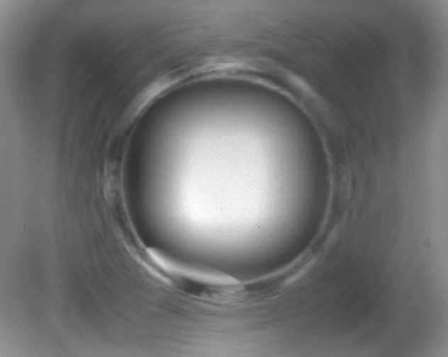 X0000082721361200701261208