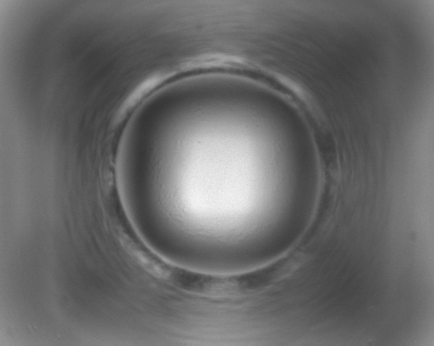 X0000082721363200701261208