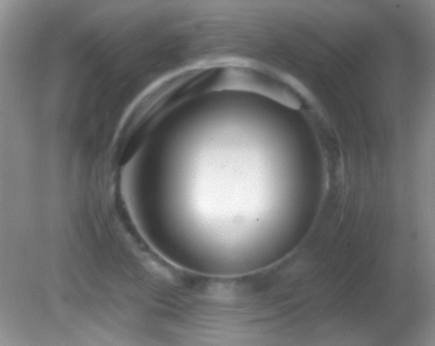 X0000082721364200701261208