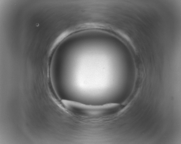 X0000082721365200701261208