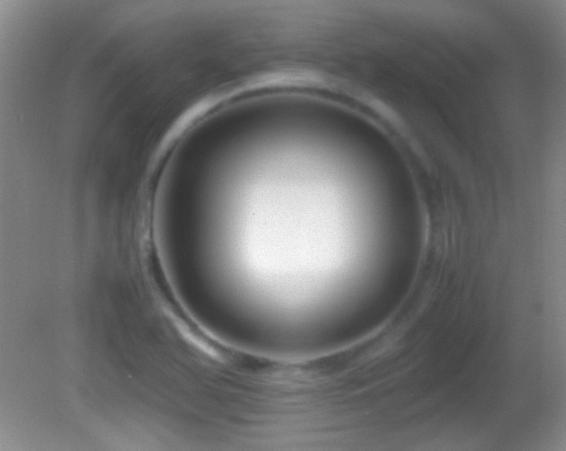 X0000082721366200701261208