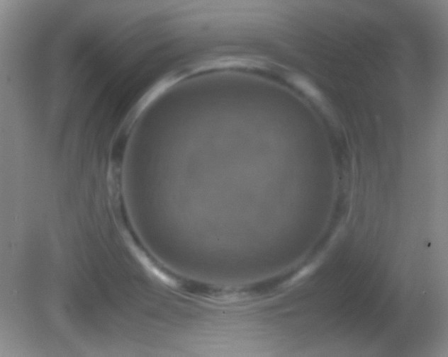 X0000082721369200701261208
