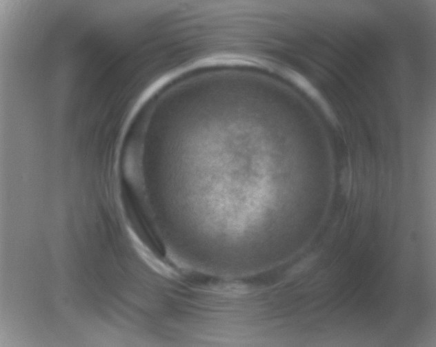 X0000082721372200701261208