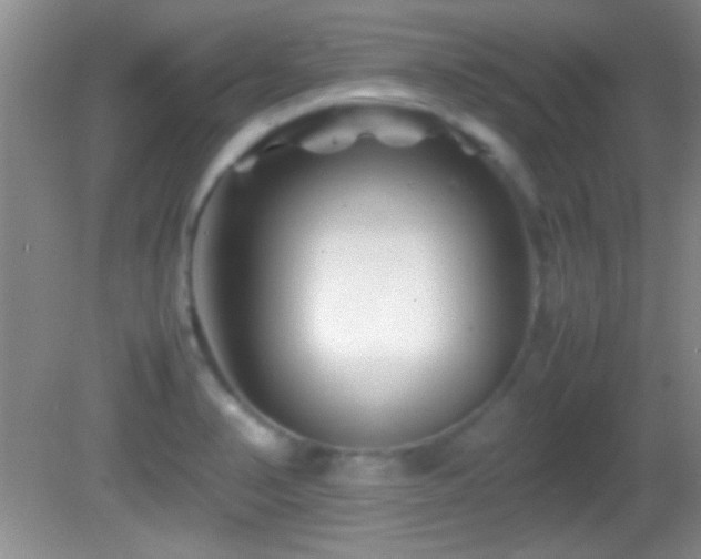 X0000082721374200701261208