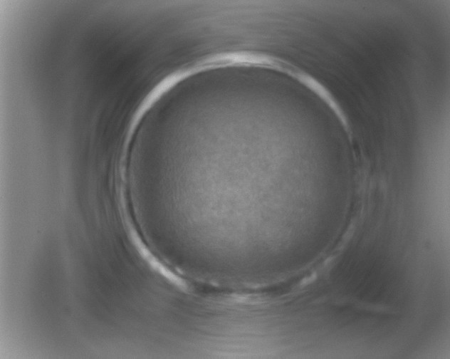 X0000082721381200701261208