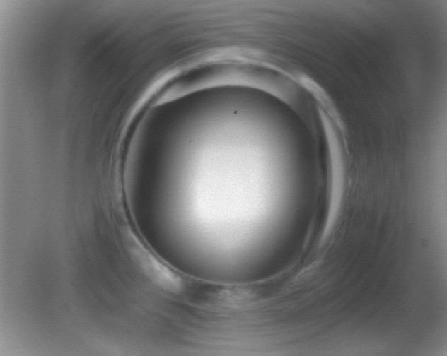 X0000082721384200701261208