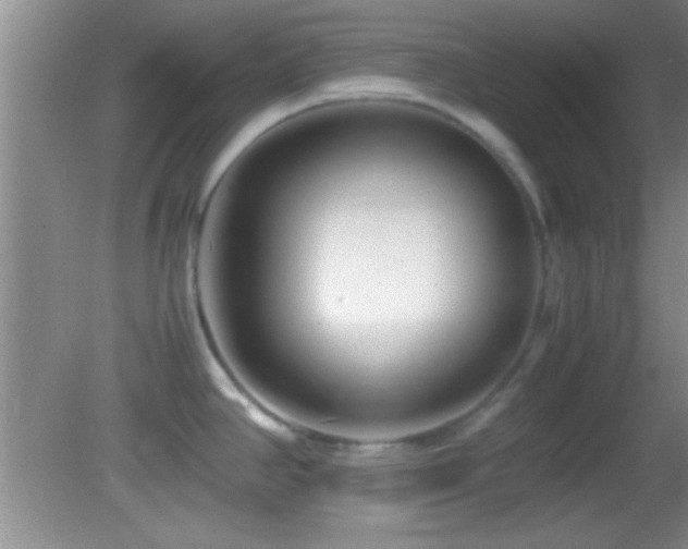 X0000082721390200701261208