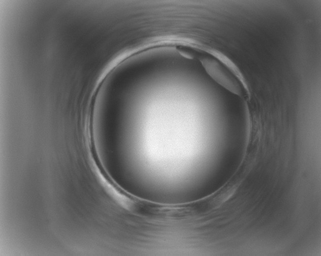 X0000082721391200701261208
