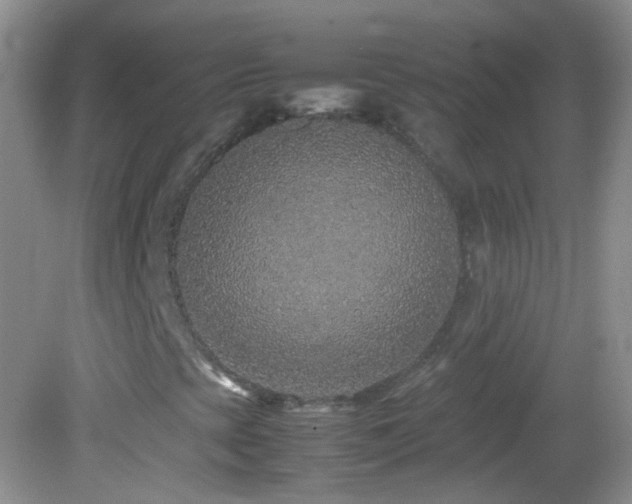 X0000082721393200701261207