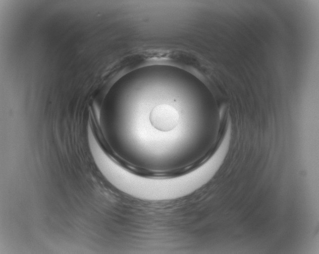 X0000082721394200701261207