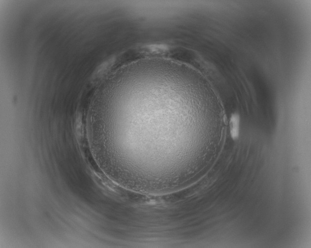 X0000082721395200701261207