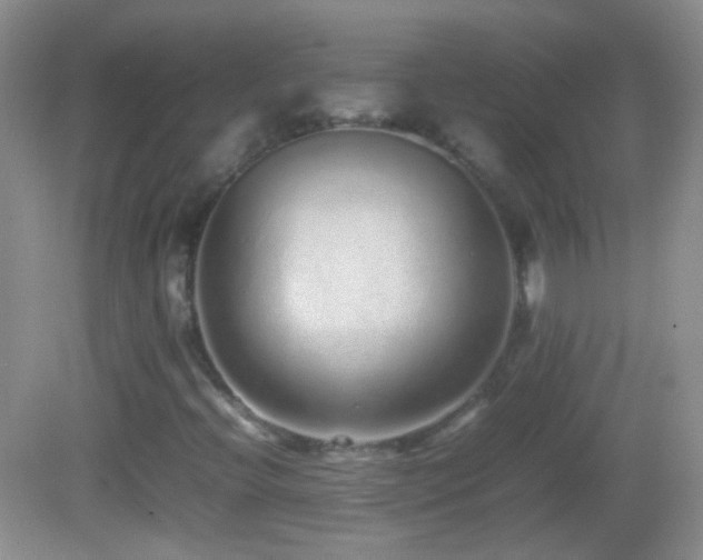 X0000082721396200701261207