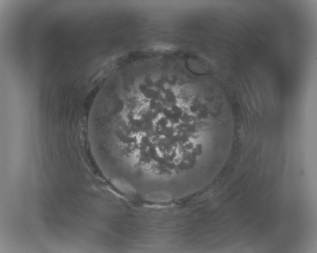 X0000082721397200701261207