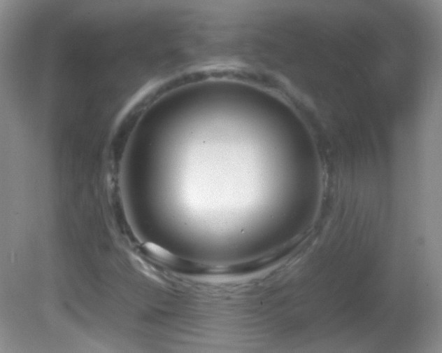 X0000082721400200701261207
