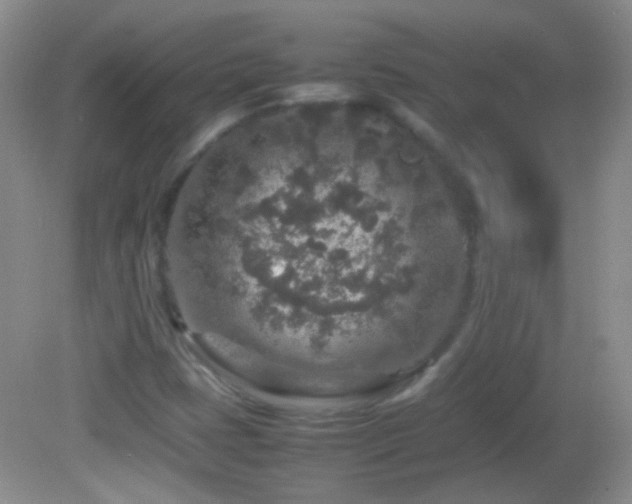 X0000082721401200701261207