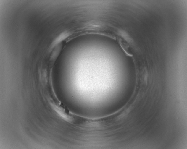 X0000082721402200701261207