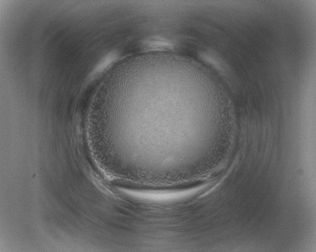 X0000082721403200701261207