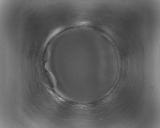 X0000082721405200701261207