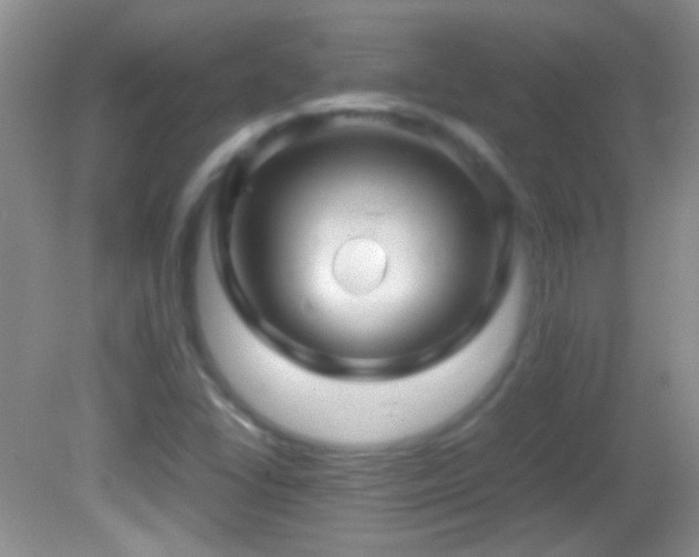 X0000082721406200701261207