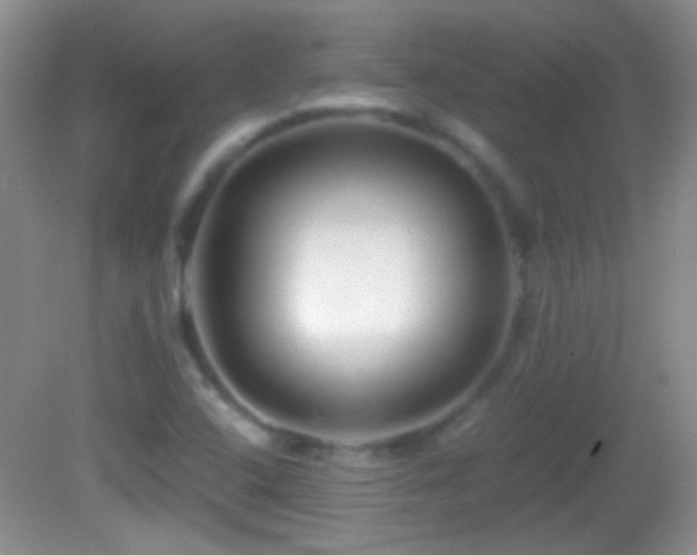X0000082721408200701261207