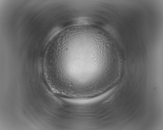X0000082721409200701261207