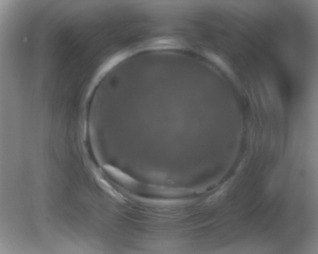 X0000082721413200701261207