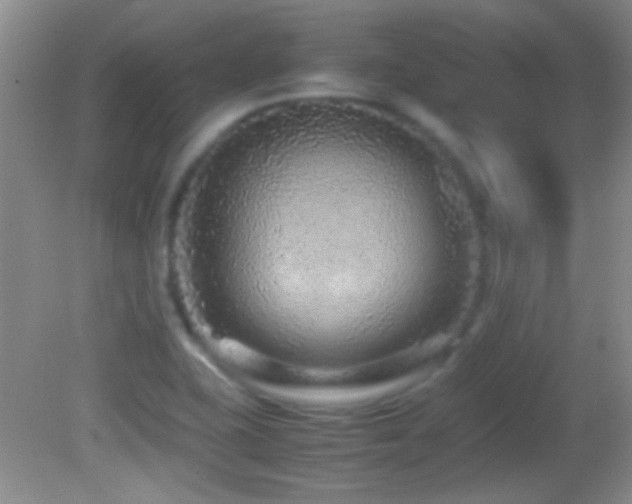 X0000082721415200701261207