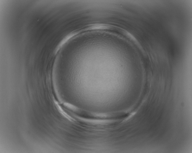 X0000082721417200701261207