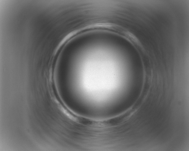 X0000082721420200701261207