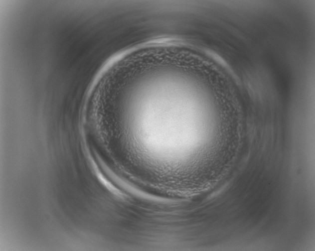 X0000082721421200701261207