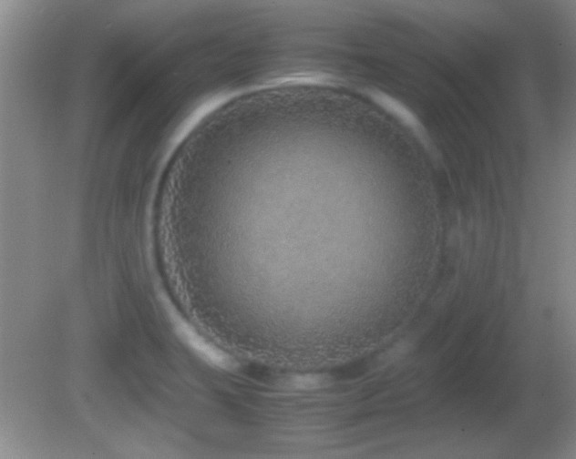 X0000082721423200701261207
