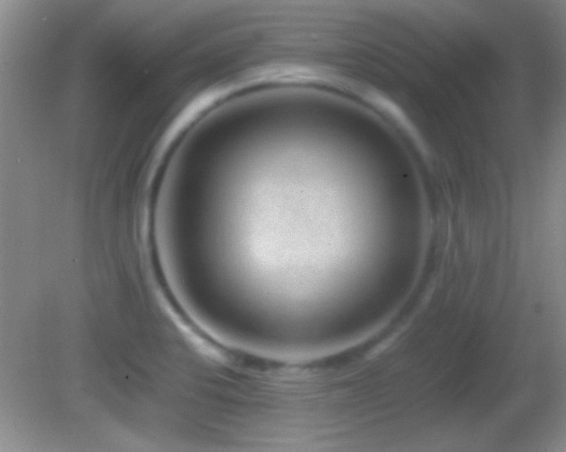 X0000082721424200701261207