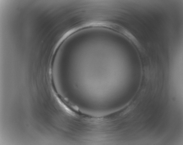 X0000082721428200701261207