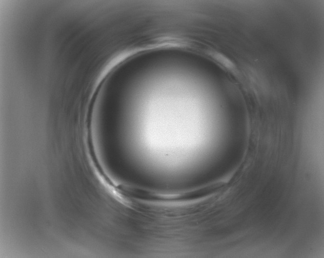 X0000082721431200701261207