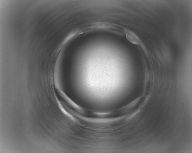 X0000082721433200701261207